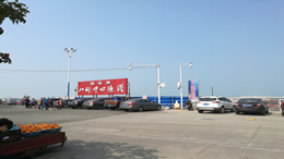 S10“鱼珠-长洲”航线于4月29日首班起暂停营运，复航时间
